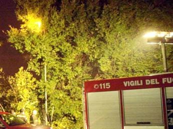 Galleria foto 'Maltempo, tromba d’aria oggi a Ravenna. Alberi cadono su asilo' - foto 1