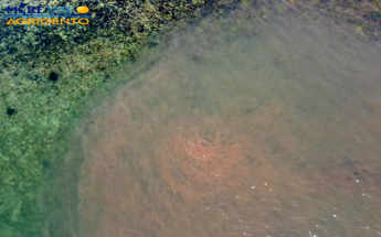 Mareamico: “Tonnellate di liquami in mare a Siculiana” Mareamico: “Tonnellate di liquami in mare a Siculiana”