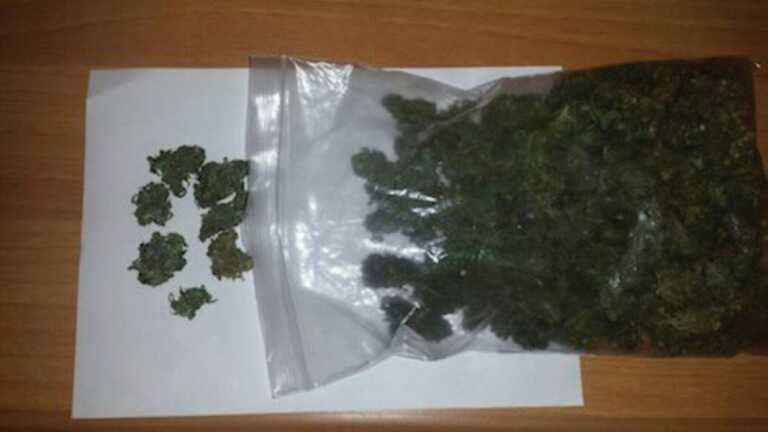 Barletta, la droga nascosta nella scuola: trovati 100 grammi di marijuana in un’aiuola