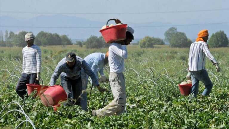 Migranti stagionali, Cgil: «La Regione Basilicata concluda l’iter per il centro accoglienza»