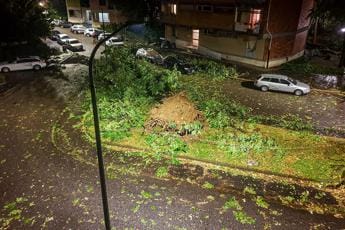 Galleria foto 'Milano, violento nubifragio nella notte: alberi caduti e tetti scoperchiati' - foto 1