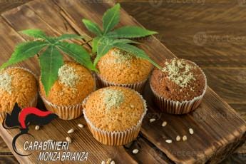 Galleria foto 'Monza, mangiano torta alla marijuana e vedono i fantasmi: 8 universitari intossicati' - foto 1