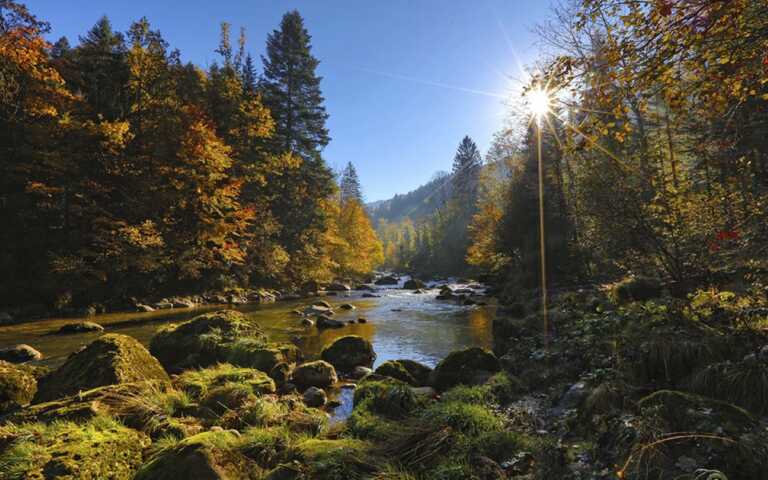 Via libera dell’Europarlamento alla Nature Restoration Law: tremano agricoltori e pescatori