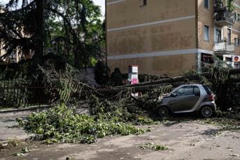 Galleria foto 'Nubifragio Milano, città sfigurata: alberi abbattuti e strade bloccate – Video' - foto 1