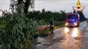 Galleria foto 'Ondata di maltempo al Nord, in Friuli Venezia Giulia temporali e vento fino a 130 km orari' - foto 1