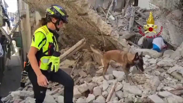 Galleria foto 'Unità cinofile al lavoro dopo crollo palazzina a Torre del Greco' - foto 1