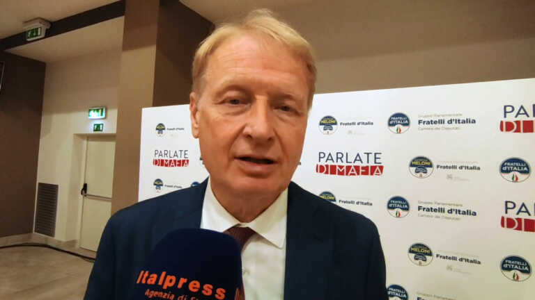Galleria foto 'Malan “Dal Reddito di Cittadinanza effetti paradossali”' - foto 1