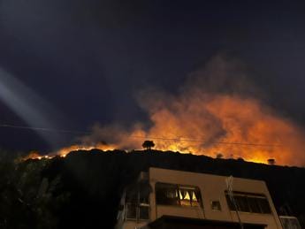 Galleria foto 'Palermo, emergenza incendi: “Restate a casa”' - foto 1