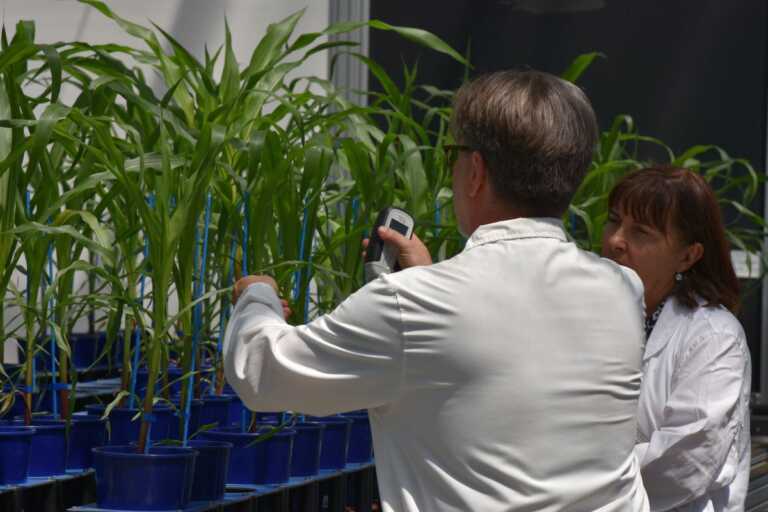 Galleria foto 'Le telecamere di Raiuno in Basilicata: Noos di Alberto Angela racconta il progetto Phenolab' - foto 1