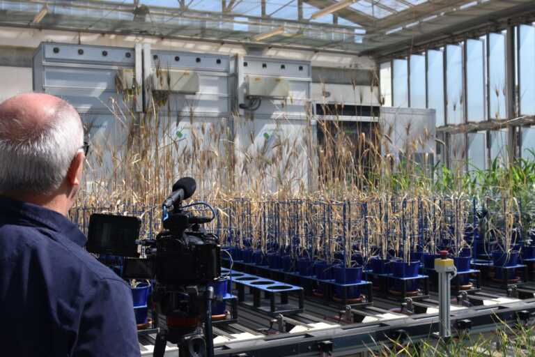 Le telecamere di Raiuno in Basilicata: Noos di Alberto Angela racconta il progetto Phenolab