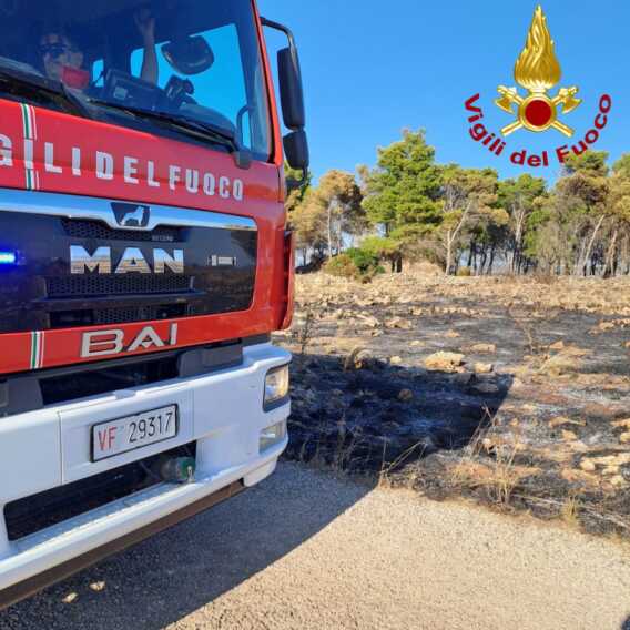 Galleria foto 'Centinaia di ettari di alberi e sterpaglie in fumo in Salento: decine gli interventi dei vigili del fuoco' - foto 6