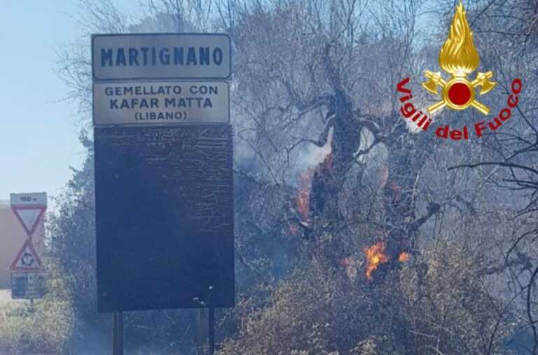 Centinaia di ettari di alberi e sterpaglie in fumo in Salento: decine gli interventi dei vigili del fuoco