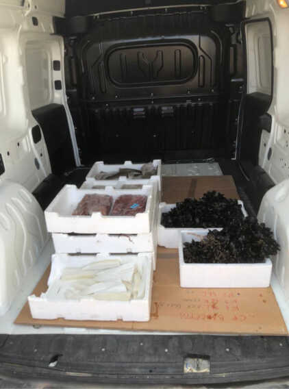 Galleria foto 'Barletta, sequestrati 67,5 kg di prodotti pescati irregolarmente: la Guardia costiera li dona in beneficenza' - foto 1