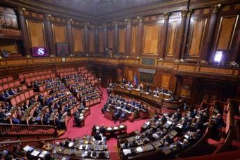 Galleria foto 'Salario minimo, Senato lo boccia: via libera a odg di Fratelli d’Italia' - foto 1