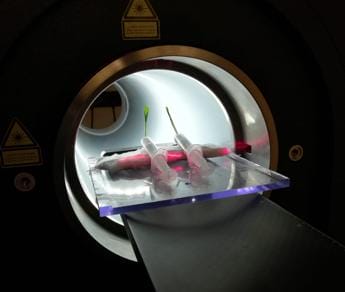 Sostenibilità, AgriPetMri porta tecnologie mediche avanzate in agricoltura