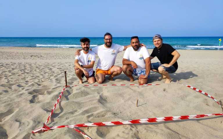 Nuovo nido di tartarughe marine a Torre San Giovanni