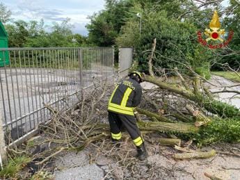 Galleria foto 'Tromba d’aria a Tradate, tetti scoperchiati e alberi caduti – Video' - foto 1
