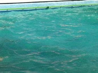 Galleria foto 'Vicenza, bimbo di 2 anni annega in piscina' - foto 1
