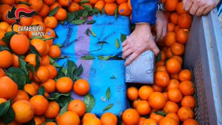 Galleria foto 'Tonnellate di droga tra la frutta, 7 misure cautelari a Napoli' - foto 1
