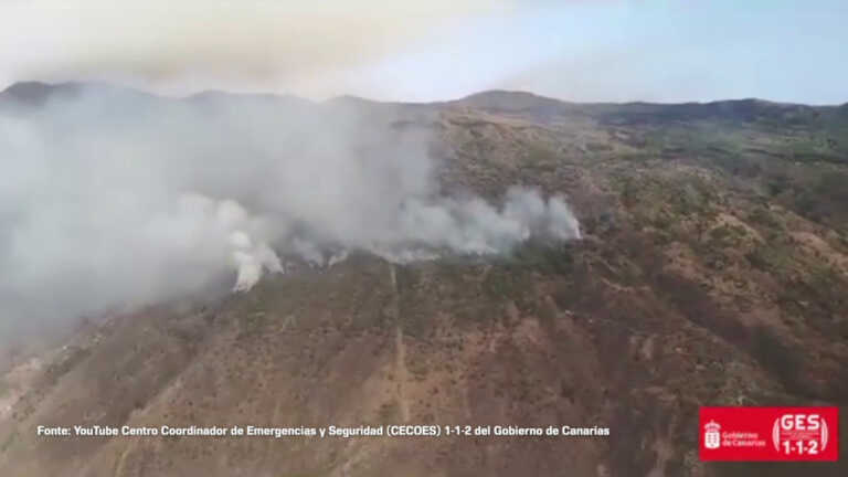 Galleria foto 'Spagna, in fiamme i boschi di Tenerife' - foto 1
