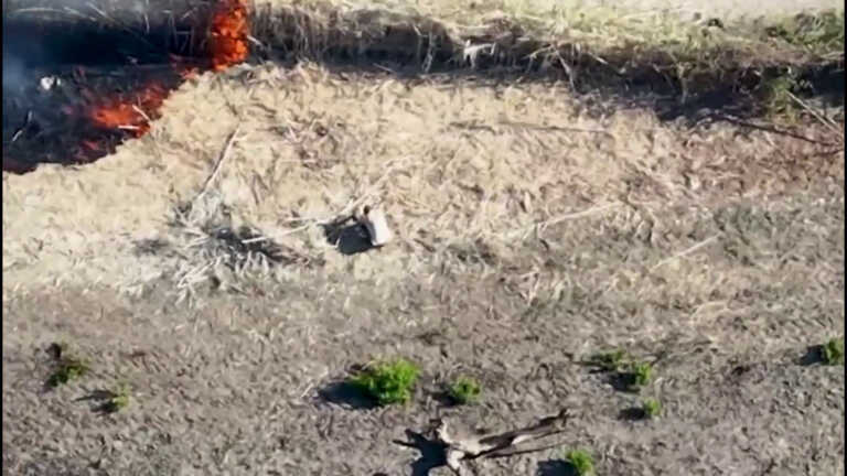 Galleria foto 'Incendi, drone incastra un piromane in Calabria' - foto 1