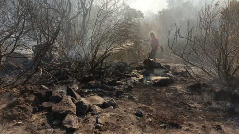 Incendio a Palagianello: 30 ettari di bosco a rischio. Tempestivo l’intervento degli operatori