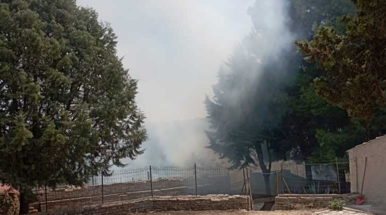Andria, a fuoco alberi e ulivi della Masseria San Vittore: riconosciuti i responsabili – VIDEO