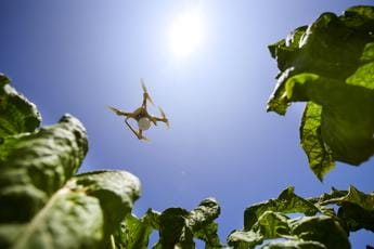 Galleria foto 'Al via terza edizione Beleaf Be The future, la call for innovation di Pmi' - foto 1