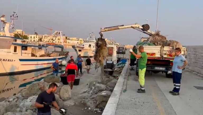 Bari, i pescatori con gli operatori dell’Amiu per pulire il porto di Santo Spirito: «Straordinaria collaborazione» – VIDEO