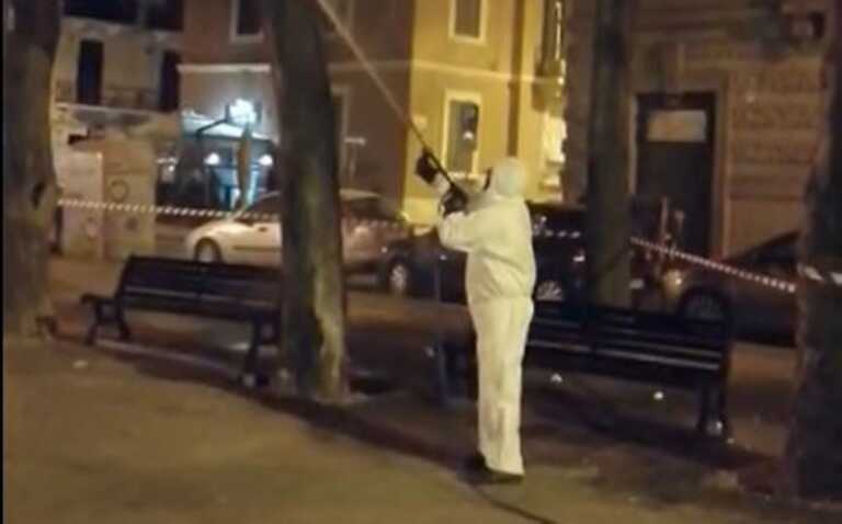 Febbre del Nilo, la sindaca Bruno dispone misure urgenti per prevenire focolai ad Andria