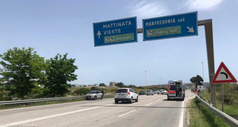 Galleria foto 'Gargano, dai cantieri per le grandi opere ai 300 mila ettari all’asciutto' - foto 1