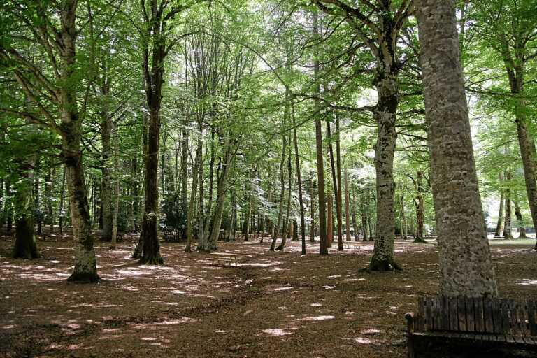 “La natura non va in vacanza”: a Matera due giorni con i Carabinieri per la difesa dell’ambiente