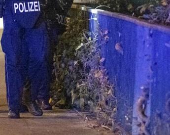 Galleria foto 'Germania, 16enne accoltella gravemente bambino di 8 anni in scuola Sassonia' - foto 1