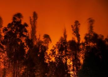 Incendi alle Hawaii, distrutta cittadina su isola Maui: almeno 6 morti