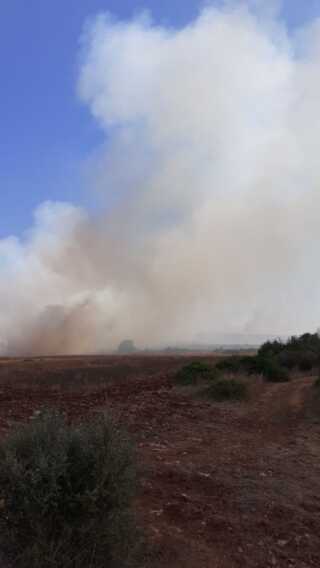 Galleria foto 'Incendio a Martina Franca: a fuoco 27 ettari di macchia mediterranea. Interviene anche un canadair – VIDEO' - foto 2