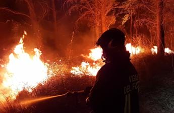 Galleria foto 'Incendio isola d’Elba, divorati 14 ettari di bosco a San Felo a Rio' - foto 1