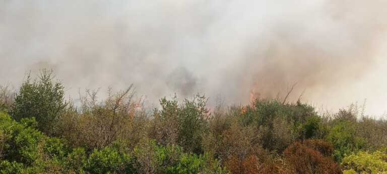 Incendio a Martina Franca: a fuoco 27 ettari di macchia mediterranea. Interviene anche un canadair – VIDEO