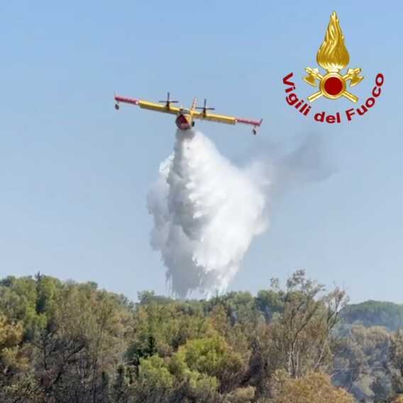 Galleria foto 'Brucia la Puglia meridionale: un canadair in azione a Sannicola, distrutti 15 ettari. Fiamme anche nel Brindisino – VIDEO' - foto 1