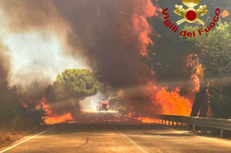 Brucia la Puglia meridionale: un canadair in azione a Sannicola, distrutti 15 ettari. Fiamme anche nel Brindisino – VIDEO