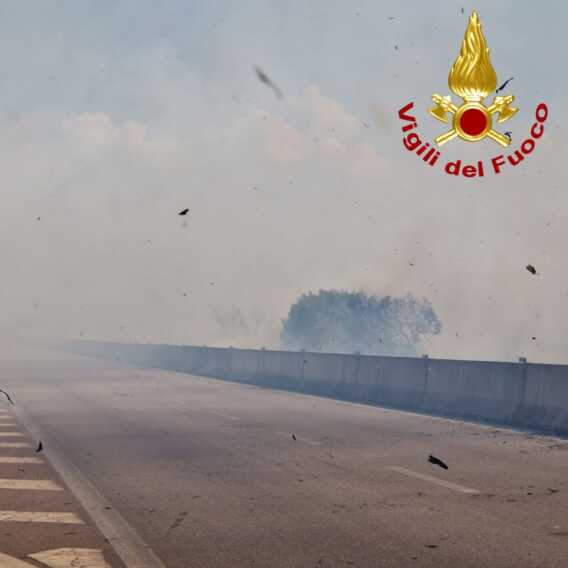 Galleria foto 'Sterpaglie a fuoco sulla statale 274 in Salento: il fumo invade la carreggiata. Strada chiusa' - foto 3
