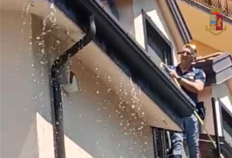 Fiamme dal barbecue coinvolgono il tetto di un’abitazione a Lagonegro: i residenti salvati dalla polizia