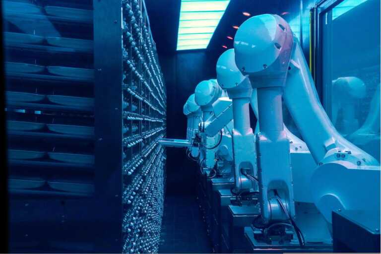L’impatto dell’intelligenza artificiale sul mercato del lavoro: a rischio il 20% dei pugliesi