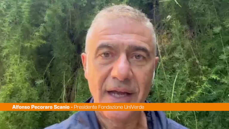 Galleria foto 'Clima, Pecoraro Scanio “Dal Papa scossa ecologista a politica inerte”' - foto 1