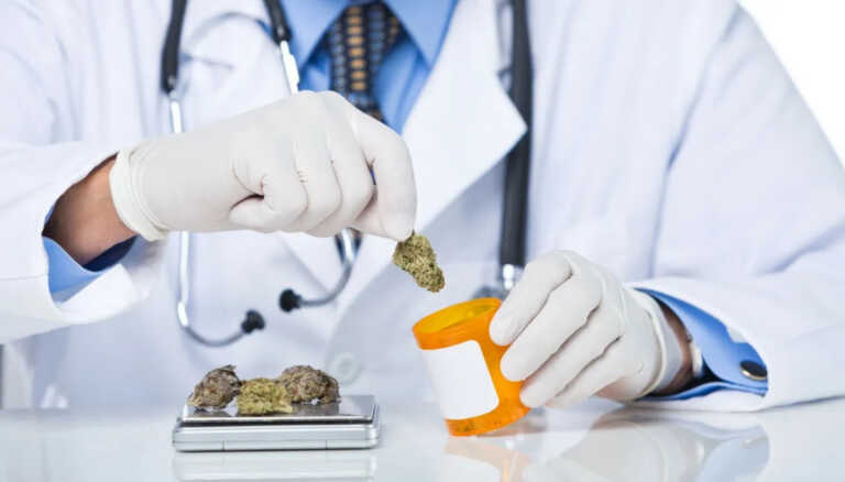 In Puglia il primo polo di ricerca in Italia sugli usi medici della cannabis: «Sarà un centro d’eccellenza»