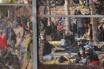 Galleria foto 'Migranti, 3.593 in hotspot Lampedusa: tregua negli sbarchi' - foto 1