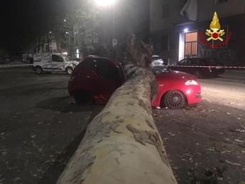 Galleria foto 'Nubifragio oggi a Milano, alberi caduti e tetti pericolanti' - foto 1