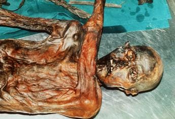 Galleria foto 'Otzi aveva pelle scura e pochi capelli, il nuovo identikit della mummia' - foto 1