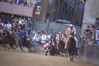 Galleria foto 'Palio di Siena, Oipa: “Basta, mette in pericolo la vita dei cavalli”' - foto 1