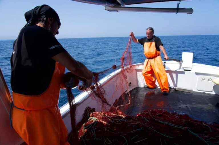 Fasano Fish Festival, politici a pesca a Torre Canne. Pentassuglia: «Ripartiamo dalla fatica di chi lavora» – VIDEO