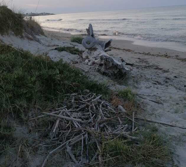Lecce, residenti e turisti: «Spiaggiabella abbandonata. Strade sporche e alberi ko»